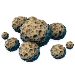 Sea Sponge