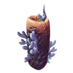 Ossified Coral