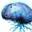 Neural Assembly