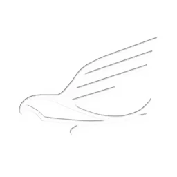 GLYPH TWO