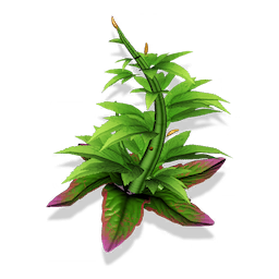 Nipnip