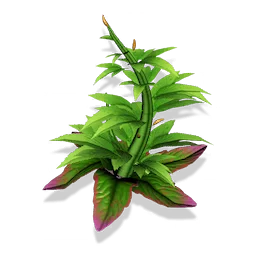 Nipnip