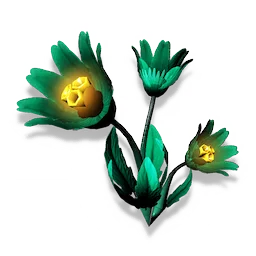 Gamma Weed
