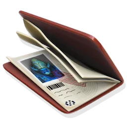 Forged Passport