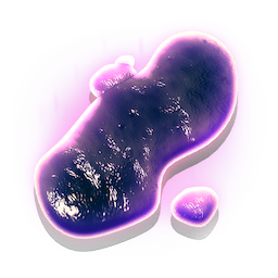Pugneum