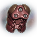 Wormhole Brain