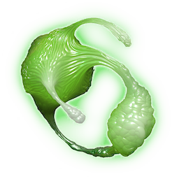Gelatinous Fibres