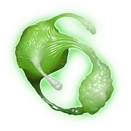 Gelatinous Fibres