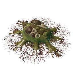Detoxified Slime