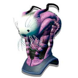 Iteration: Ariadne Visage