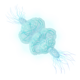 Plasmic Accident