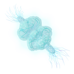 Plasmic Accident