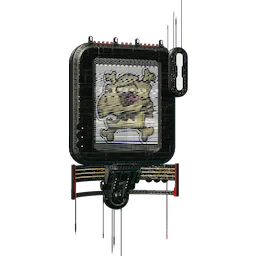 Warning Display
