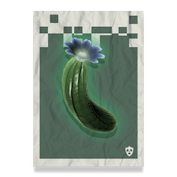 Cactus Flesh Poster