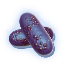 Retroviral Pellet