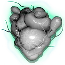 Pulsing Heart